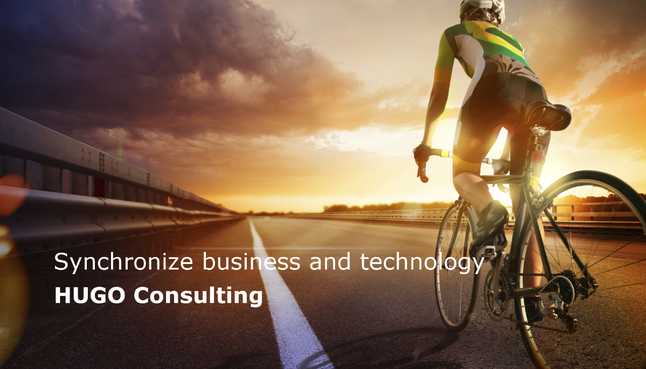Synchronize business and technology — HUGO Consulting